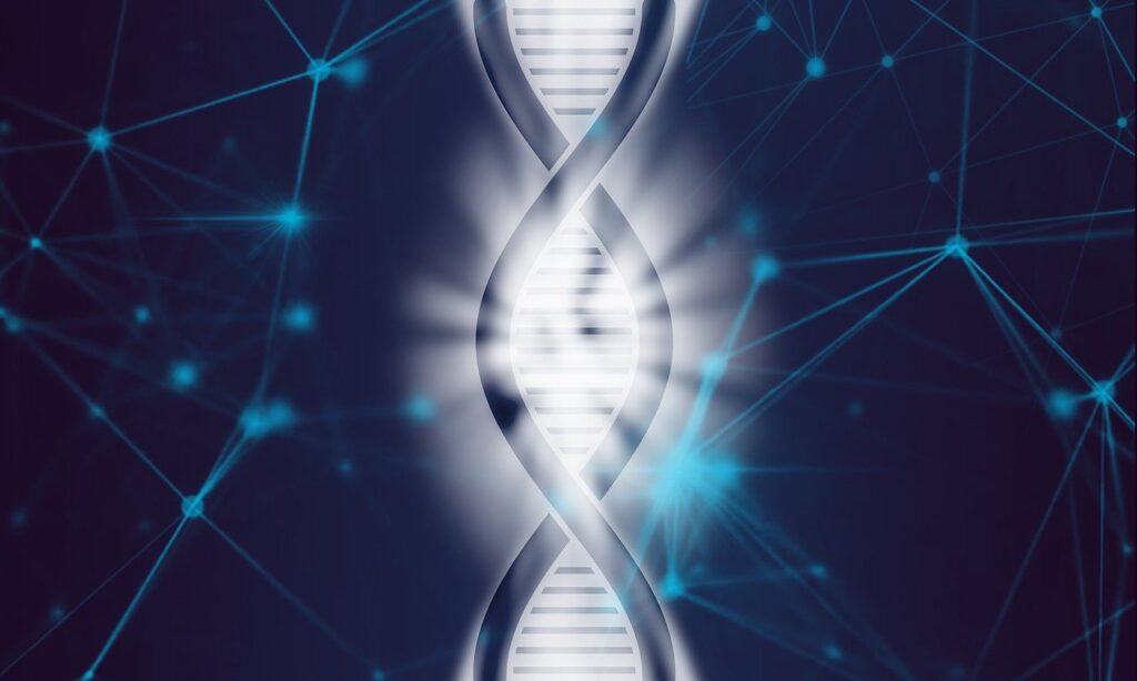 dna, life, biotechnology-4068826.jpg